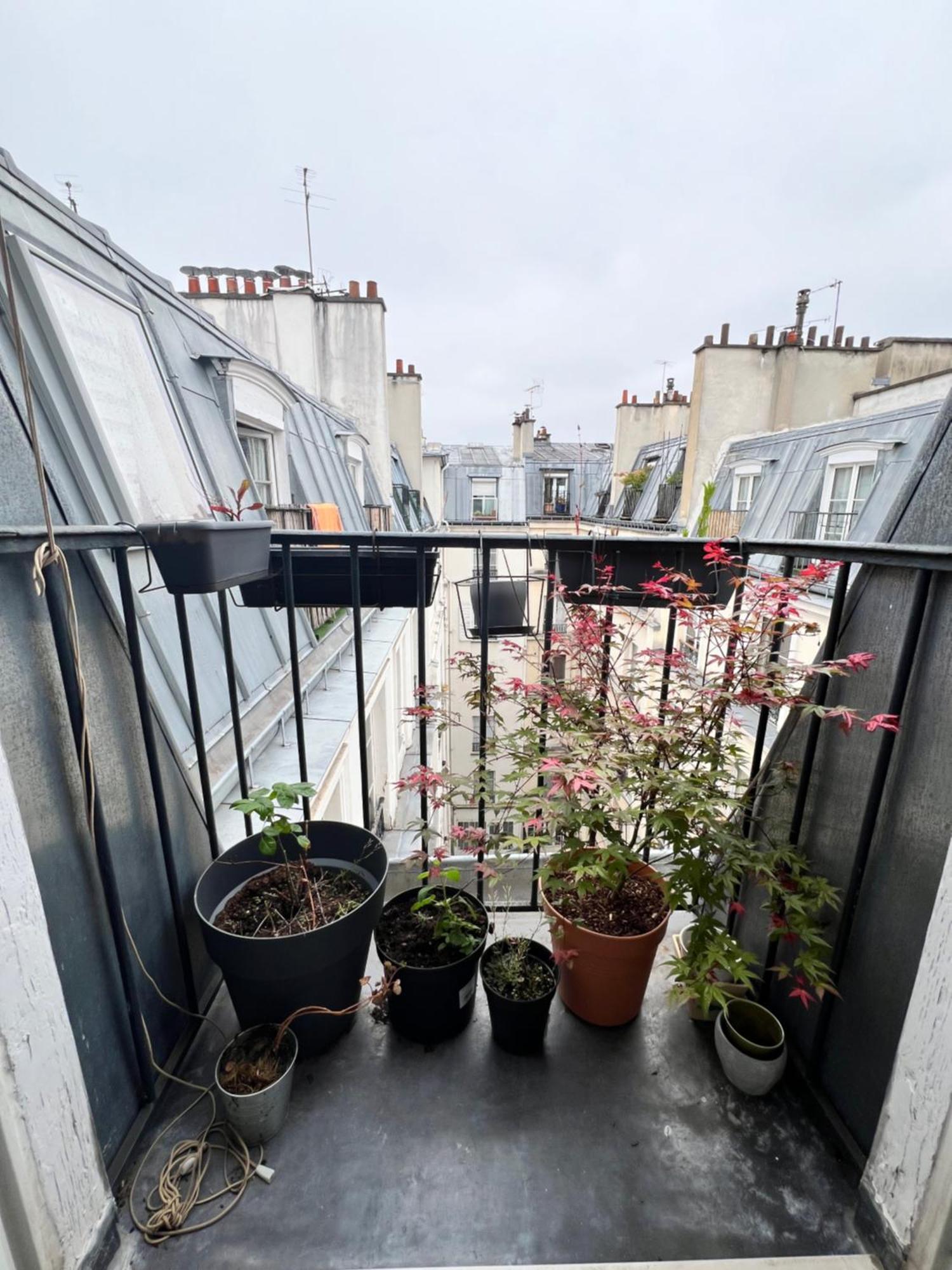 Appartement T2 Parisien Avec Balcon Paris